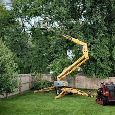 Lawn Maintenance Plans in Yorktown, TX
